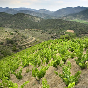 Weinregion Priorat