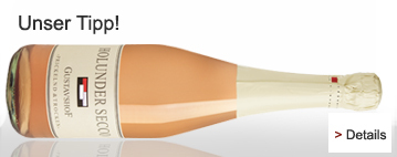 Holunder Secco Gustavshof Bio