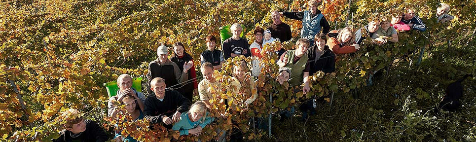 Weingut Peter Jacob Kühn, Rheingau