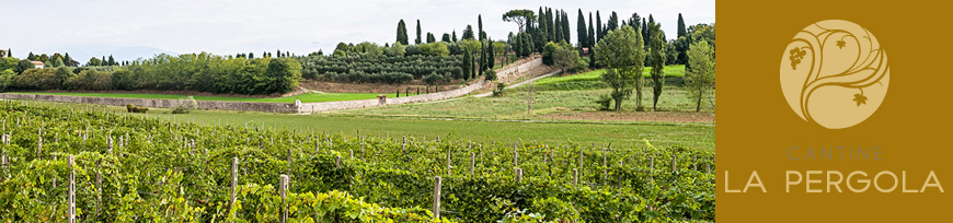 Cantina della Valtenesi e della Lugana, Lugana