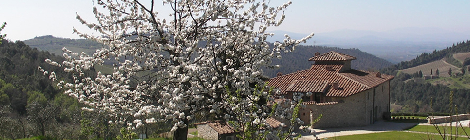 Azienda Agricola Concadoro, Toscana