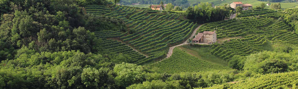 Cantine de Luca, Kalabrien