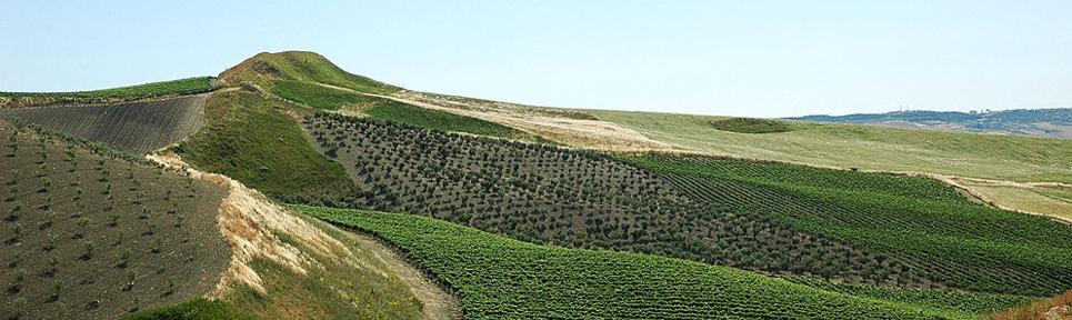 Azienda Agricola di Giovanna, Sizilien