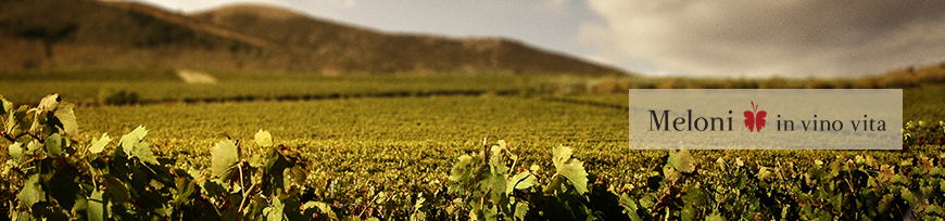 Meloni Vini, Sardinien