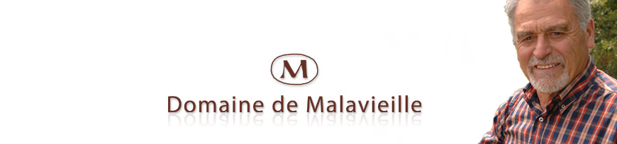 Domaine de Malavieille, Herault