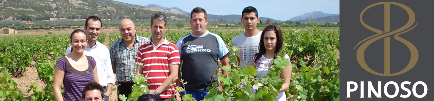 La Bodega de Pinoso, Alicante