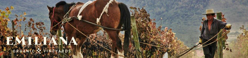 Vinedos Emiliana Organico, Chile