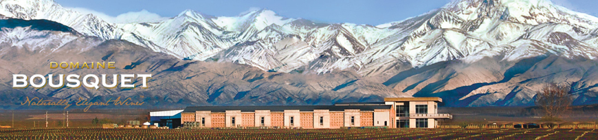 Domaine Bousquet, Argentinien