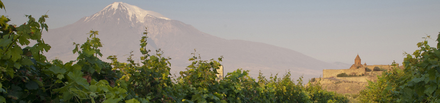 Biowein aus der Türkei