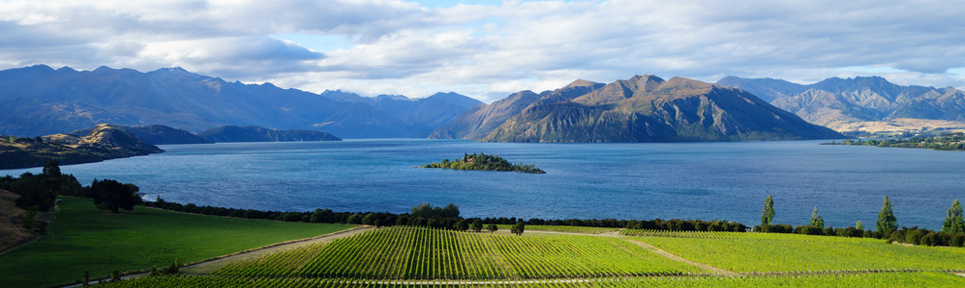 Biowein aus Neuseeland