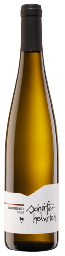 Grauburgunder 2022 Schäfer-Heinrich Biowein