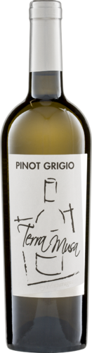 Pinot Grigio Venezia DOC 2020 Terra Musa Biowein