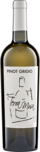 Pinot Grigio Venezia DOC 2023 Terra Musa Biowein