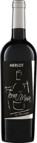 Merlot Venezia DOC 2022 Terra Musa Biowein