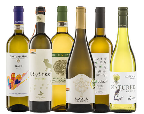 Sommer Spezial Probierpaket Biowein