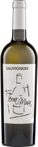 Sauvignon Blanc DOC 2023 Terra Musa Biowein