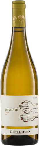 Grechetto Umbria IGT 2023 Di Filippo Biowein