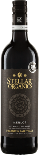 Merlot 2021/2022 Stellar ohne SO2-Zusatz Biowein