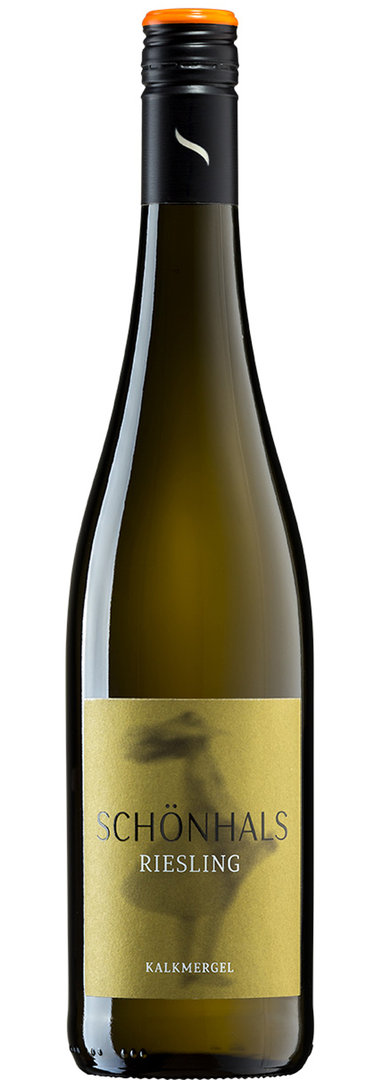 Riesling Kalkmergel 2021 trocken Schönhals Biowein