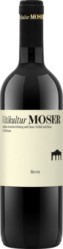Merlot 2022 Vitikultur Moser Biowein