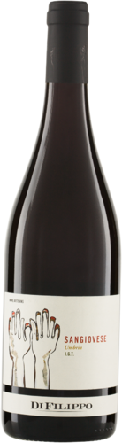 Sangiovese Umbria IGT 2022/2023 Di Filippo Biowein