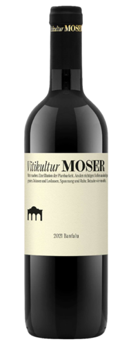 Banfalu Rot 2022 Vitikultur Moser Biowein