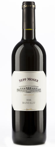 Banfalu Rot 2021/2022 Vitikultur Moser Biowein