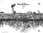 Negre de Negres 2021 Portal del Priorat