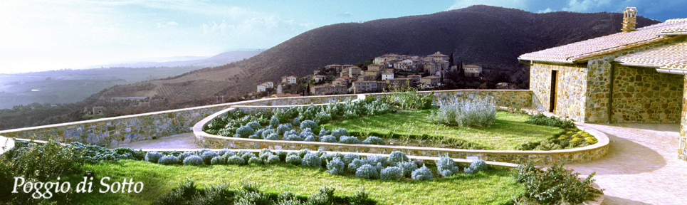 Poggio di Sotto, Toskana