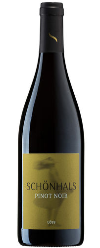 Pinot Noir Löss trocken 2021 Schönhals Biowein