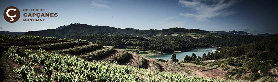 Celler de Capcanes, Montsant