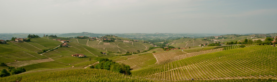 Azienda Agricola Sottimano, Piemont