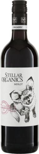 Merlot Western Cape 2021 Stellar Biowein