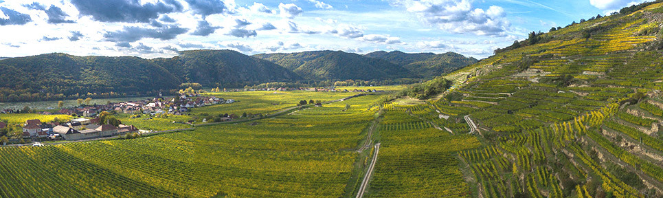 Weingut Schmidl, Wachau