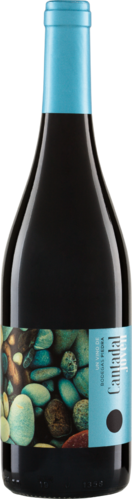 CANTADAL Joven Tinto Toro DO 2021 Piedra Bio