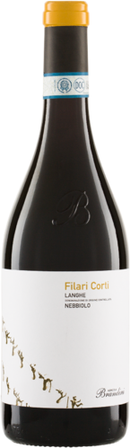 Nebbiolo FILARI CORTI Langhe DOC 2022 Brandini Biowein