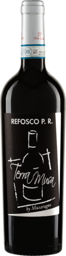 Refosco dal Peduncolo Rosso  DOC 2021 Terra Musa Biowein