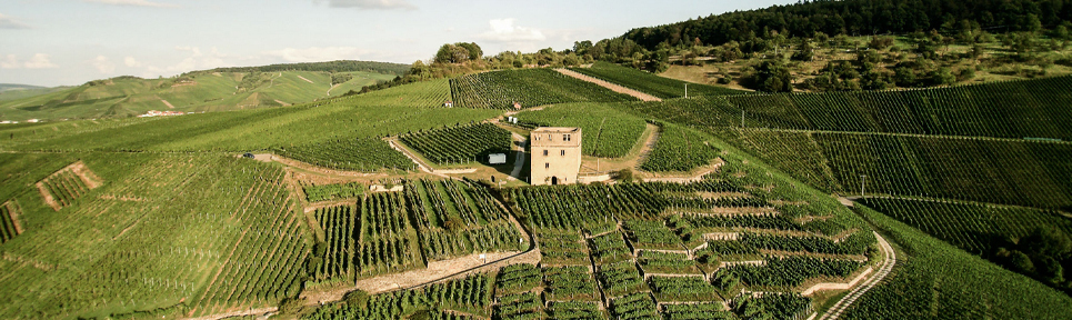 Weingut Karl Haidle, Württemberg