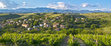 Biowein aus Bulgarien