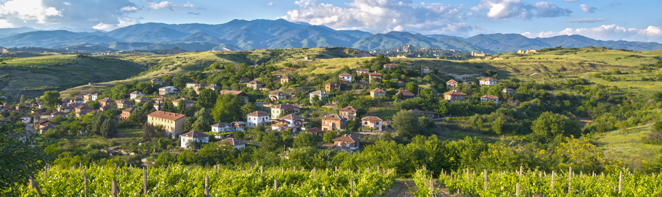 Biowein aus Bulgarien