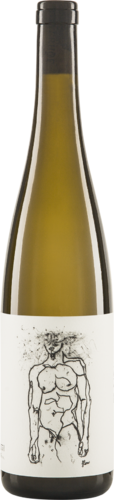 Grüner Veltliner HOFSTUDIEN 2021 Geyerhof Biowein