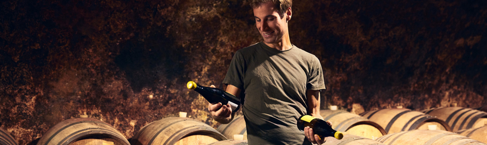 Weingut Immel, Rheinhessen