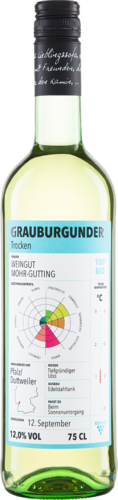 Zukunftswein Grauburgunder QW Pflaz 2023 Mohr-Gutting Biowein