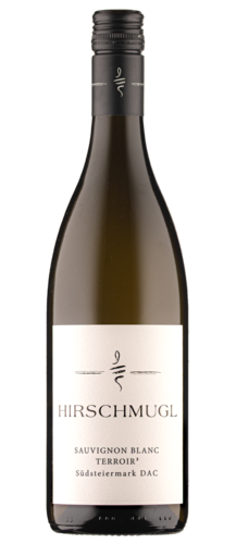 Sauvignon Blanc Terroir Südsteiermark DAC 2024 Hirschmugl Biowein