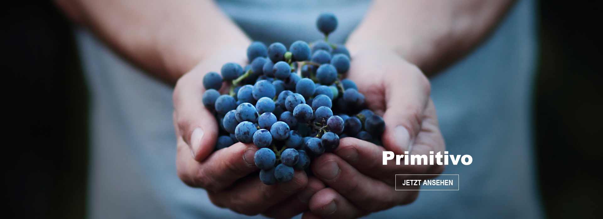 Rebsorten: Primitivo