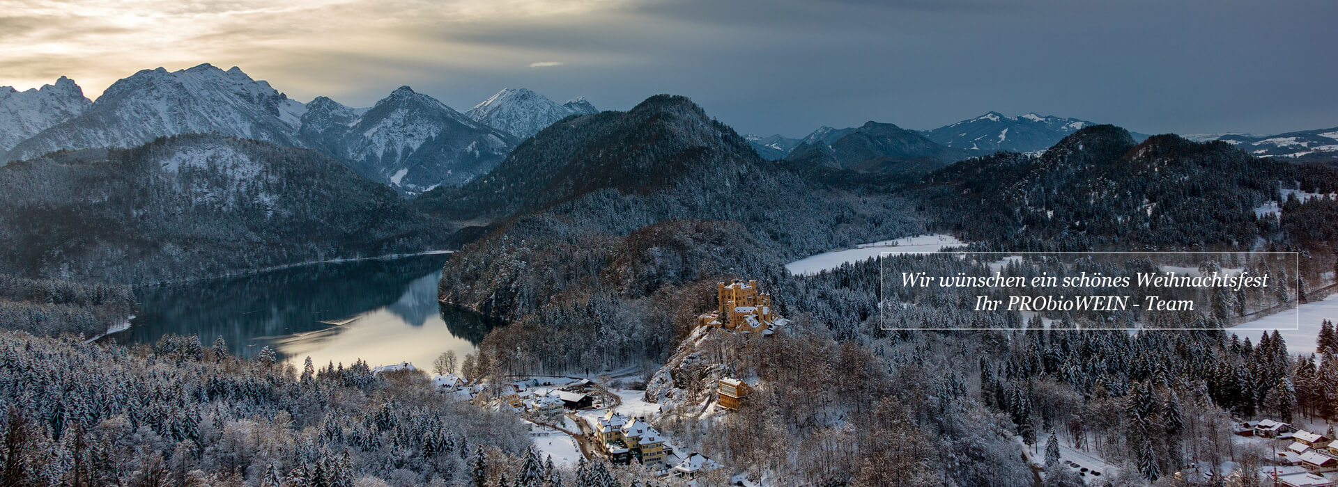 Probiowein wünscht frohe Weihnachten