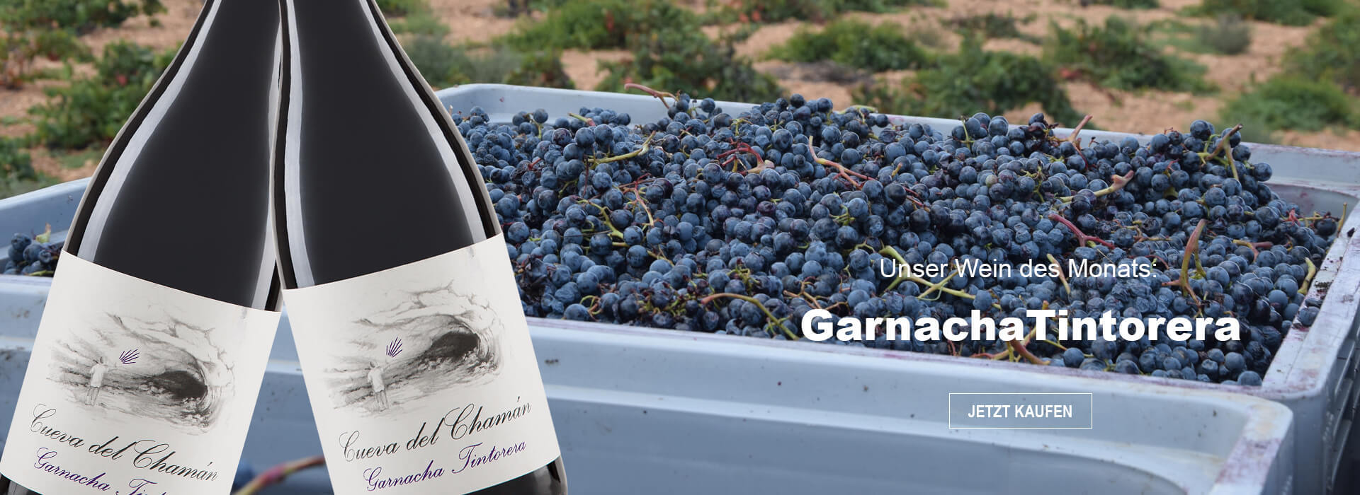 Wein des Monats Oktober: Garnacha Tintorera 