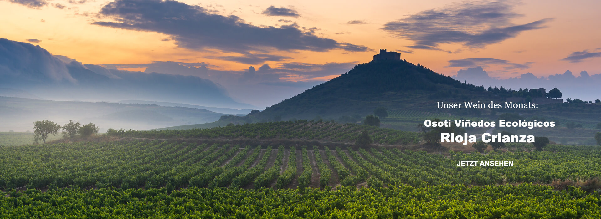 Wein des Monats November: Osoti Crianza