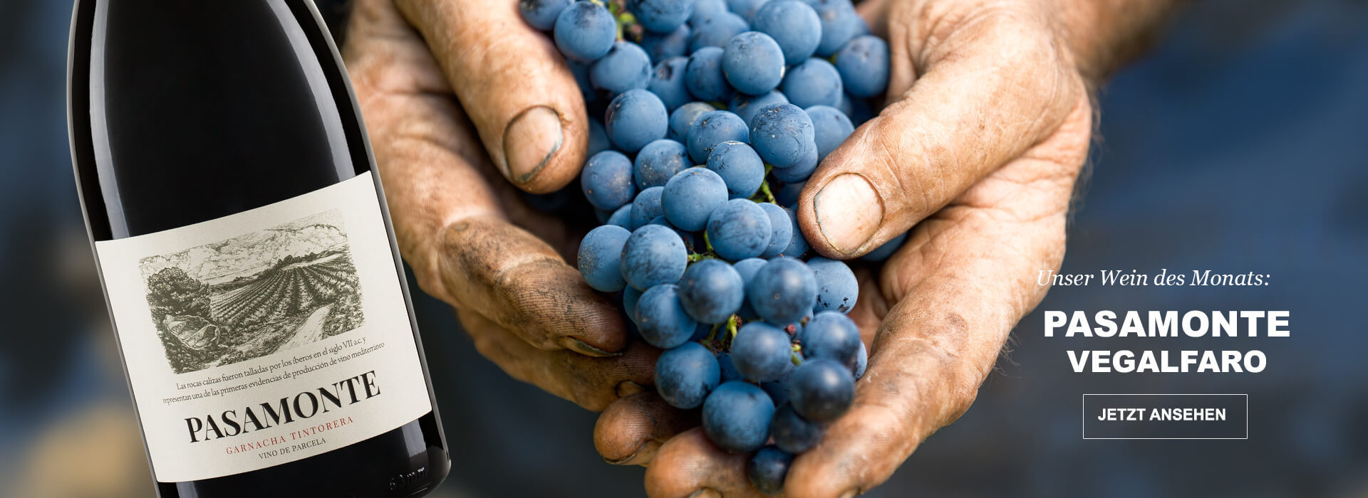 Unser Wein des Monats: Pasamonte Vegalfaro