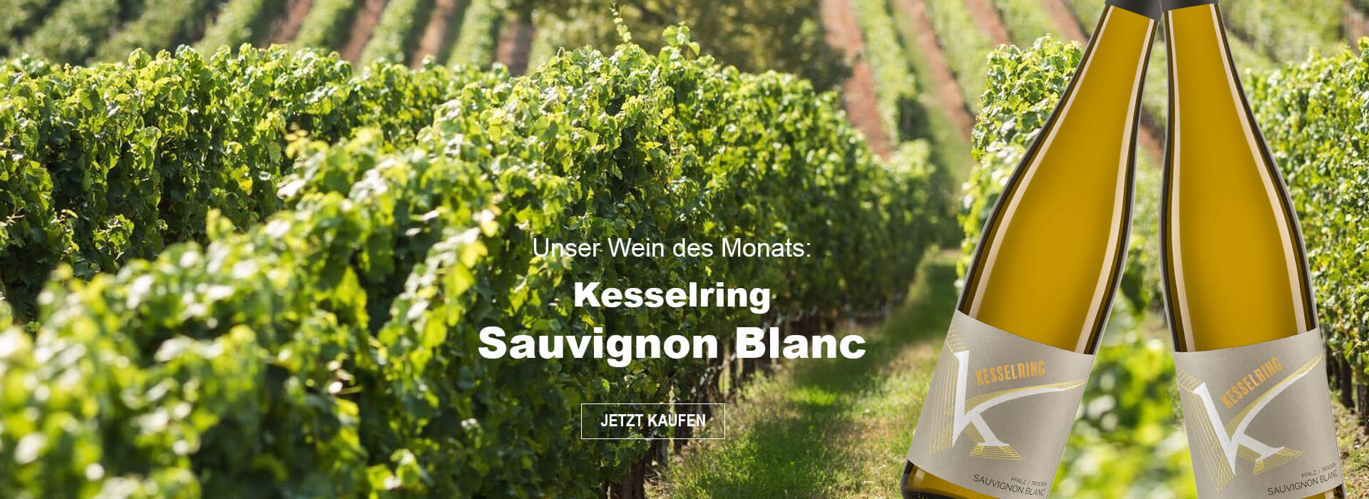 Unser Wein des Monats: Kesselring Sauvignon Blanc
